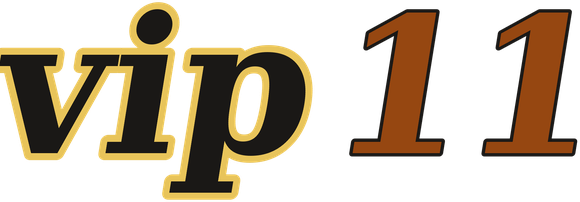 vip11 logo